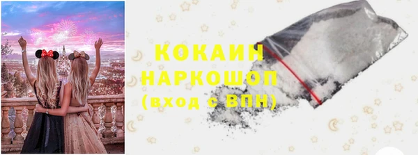 дживик Белокуриха