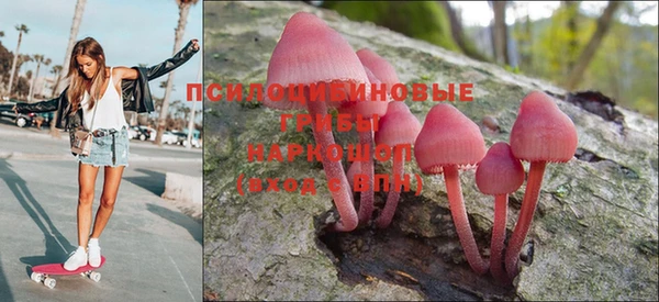 дживик Белокуриха