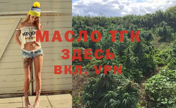 дживик Белокуриха