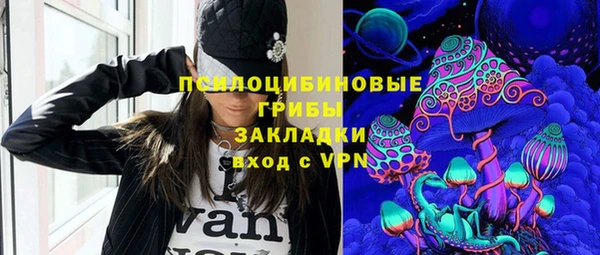 дживик Белокуриха
