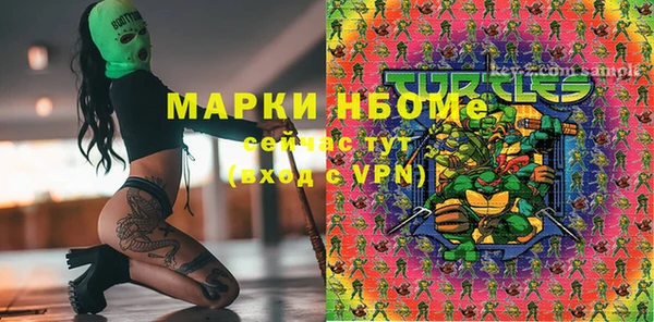 дживик Белокуриха