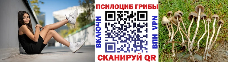 Галлюциногенные грибы GOLDEN TEACHER Буйнакск