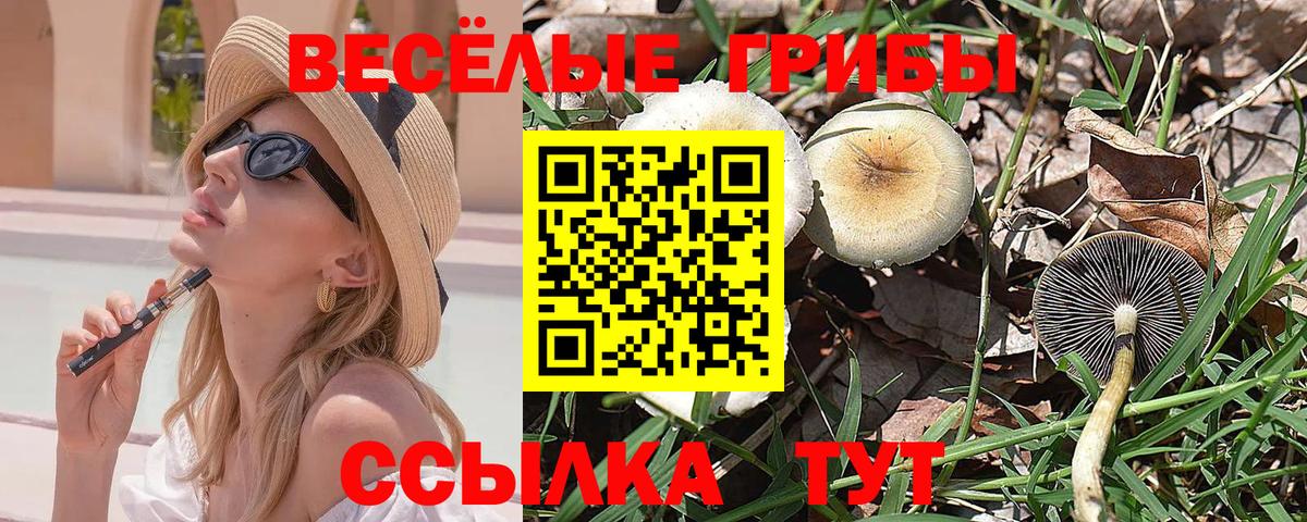 Галлюциногенные грибы Psilocybine cubensis  Вход с VPN  Буйнакск 